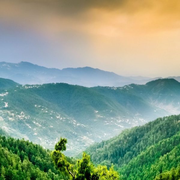 Murree-1-800×960 Murree-1-800x960